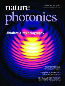 Femtosecond Fourier transform X-ray holography on the fly